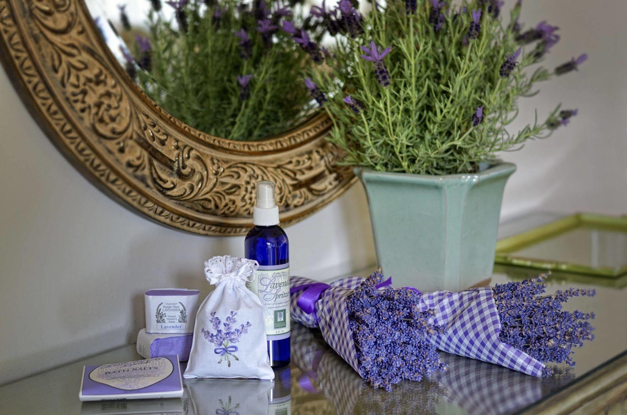 Colette'S Bed & Breakfast 포트앤젤레스 외부 사진